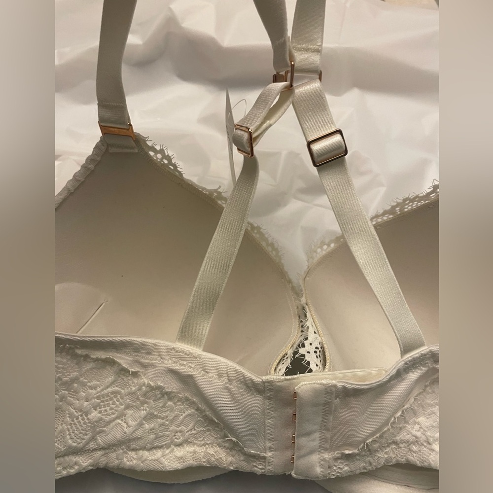 NWT Aerie Real Power Plunge Push Up Eyelash Lace Bra in Ivory Size 34DD - Picture 12 of 13